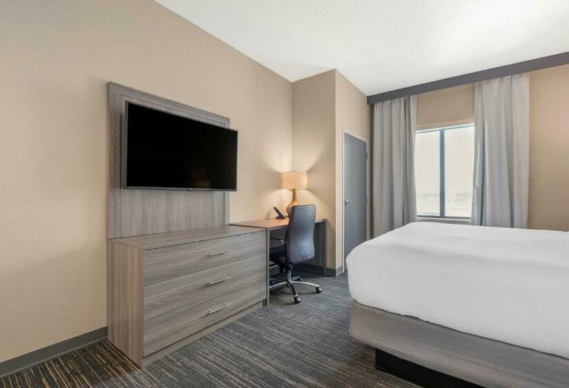 سوئیت با تخت بزرگ, Pestana Orlando Suites   Lake Buena Vista