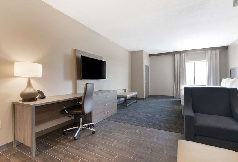سوئیت مستر, Pestana Orlando Suites   Lake Buena Vista