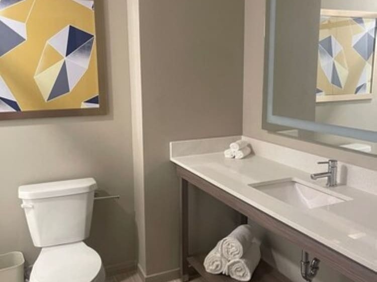 سوییت سوپریور, Pestana Orlando Suites   Lake Buena Vista