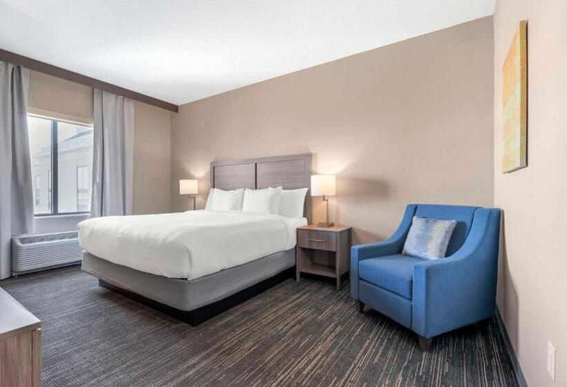 اتاق استاندارد با تخت بزرگ, Pestana Orlando Suites   Lake Buena Vista
