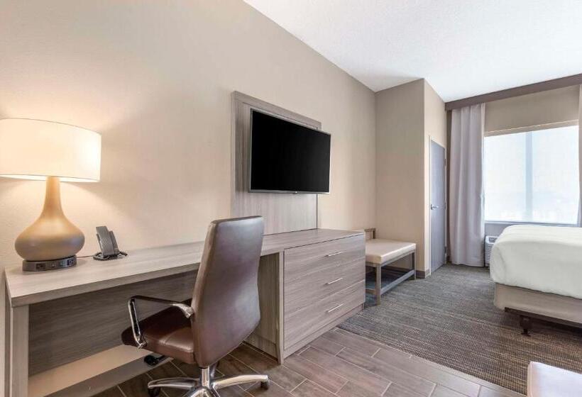 سوئیت با تخت بزرگ, Pestana Orlando Suites   Lake Buena Vista
