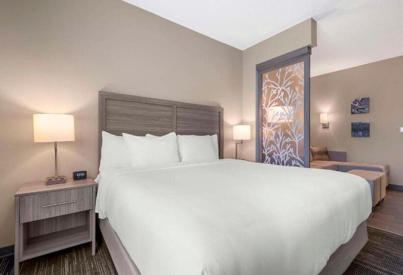 اتاق استاندارد سه نفره, Pestana Orlando Suites   Lake Buena Vista