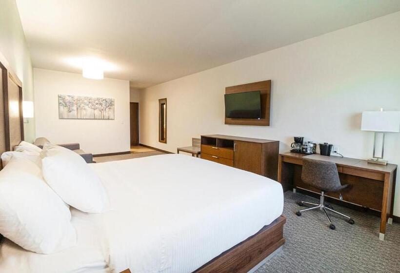 سوئیت با تخت بزرگ, Comfort Inn Ciudad Juarez