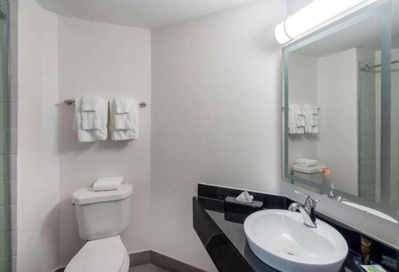 Номер Стандарт 2 Двуспальные Кровати, Wingate By Wyndham Horn Lake Southaven