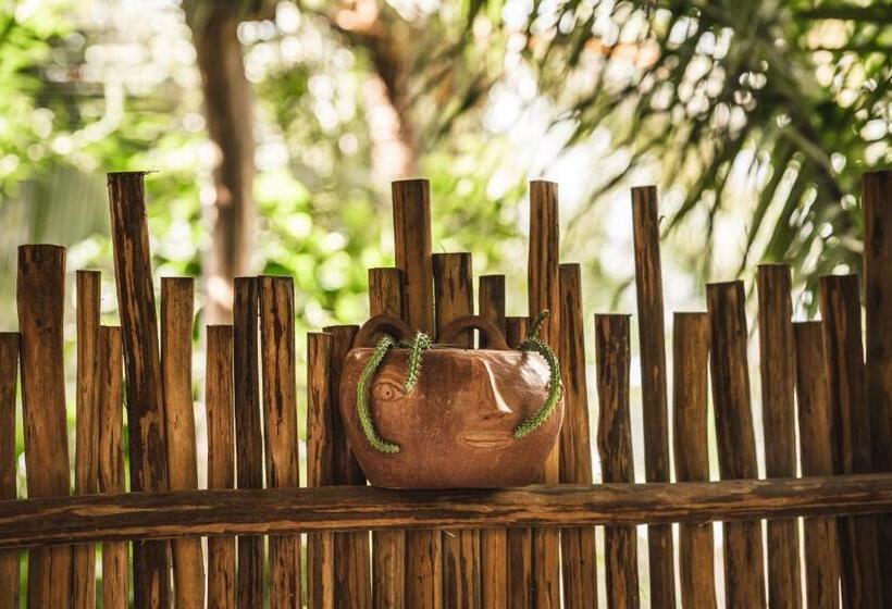 Люкс с Террасой, Casa Chula Hotel Boutique Frente Al Mar