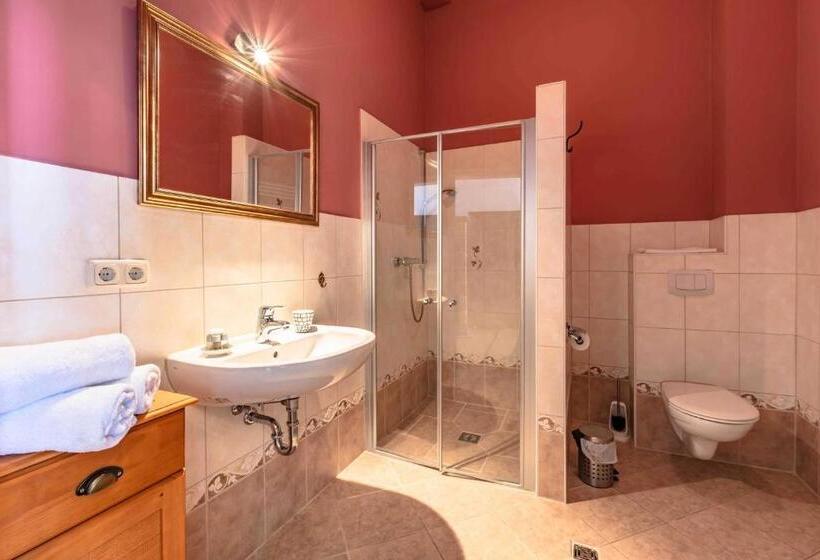 Номер Стандартный с Видом, Schlosshotel Gross Koethel
