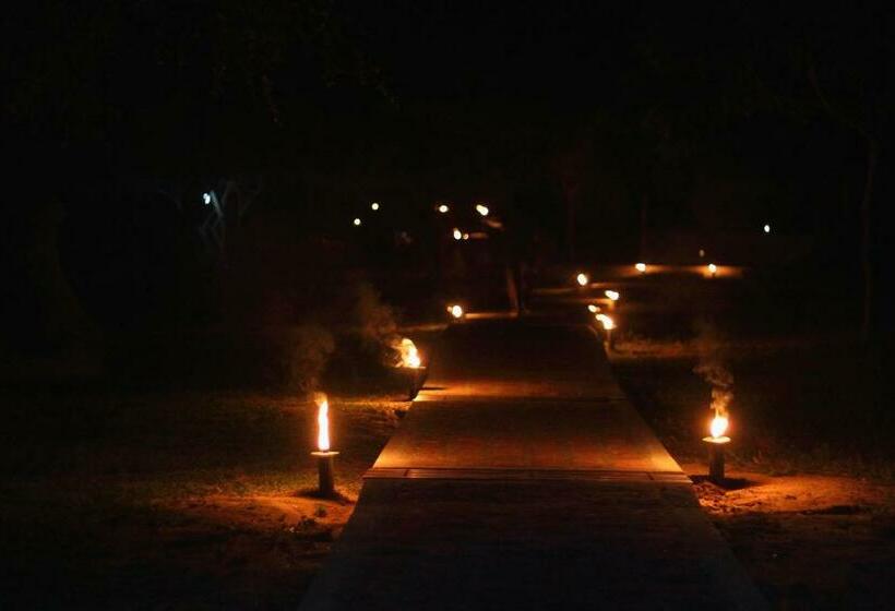 家庭洋房, Leopard Corridor Yala