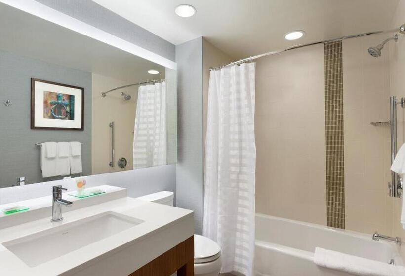 Номер Стандарт Верхний Этаж, Hyatt Place Buffalo / Amherst, Ny