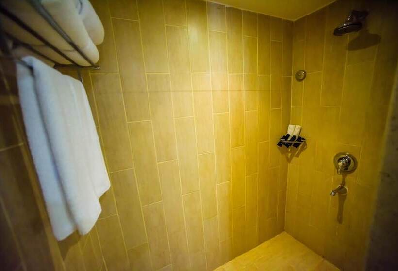 سوییت جونیور, Carols Beau Rivage