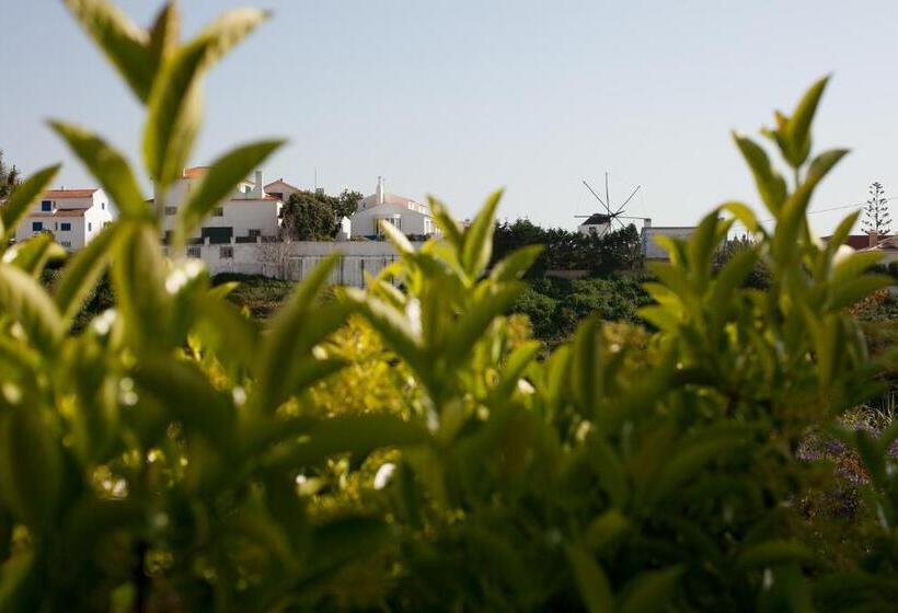 Кровать в Общей Комнате, Ericeira Chill Hill Hostel & Private Rooms   Peach Garden