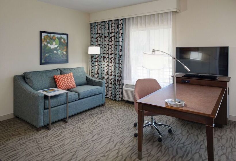Студио Стандарт Кровать Кинг, Hampton Inn & Suites Vero Beach Downtown