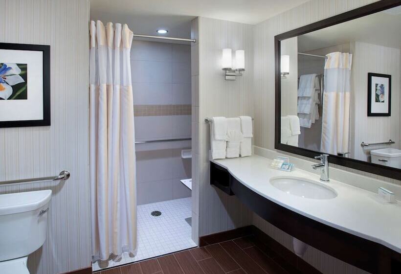 Camera Standard Letto King Accessibile ai persone con mobilità ridotta, Hilton Garden Inn Chicago Downtown Riverwalk