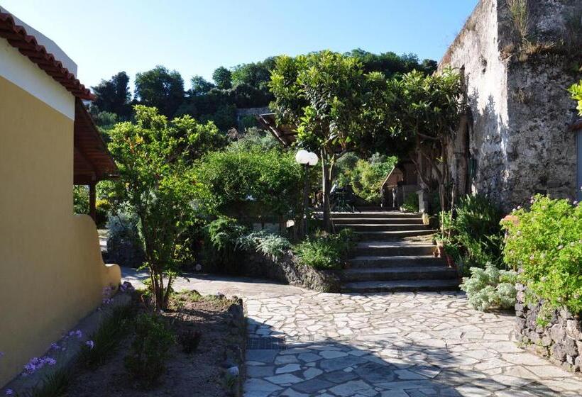 Quarto Estandar Individual, La Marticana