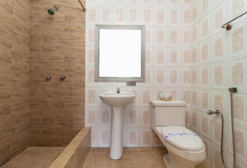Номер Стандарт Трехместный, Malecon Inn