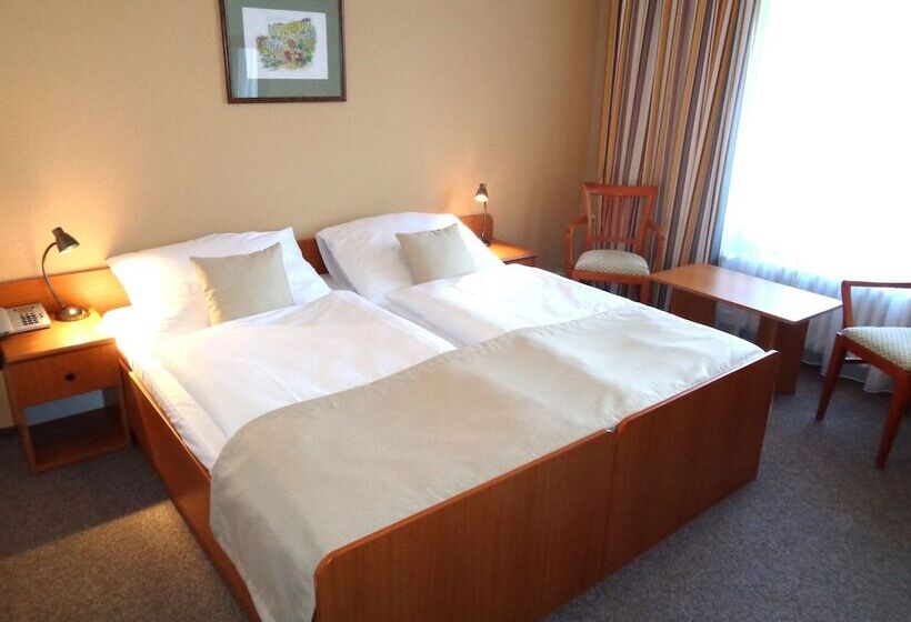 スタンダードルーム, Spa Hotel Devin