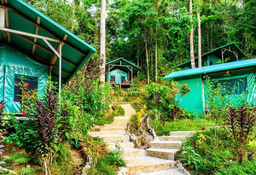 Standard Tent, Luna Lodge