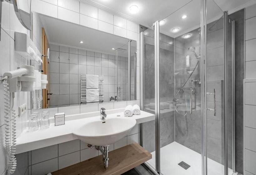 Номер Стандарт с Балконом, Tyrolerhof