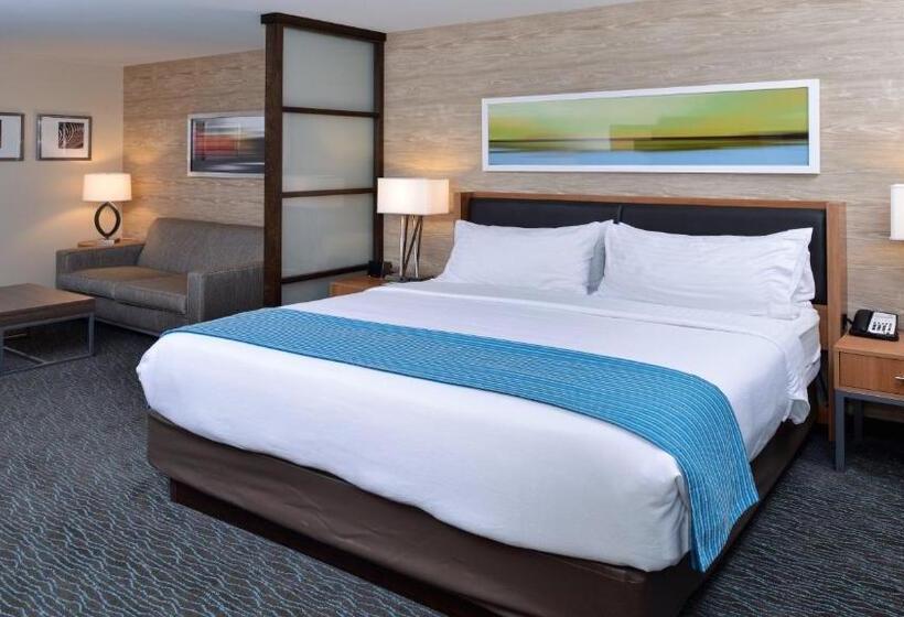 标准间带漩涡浴缸, Holiday Inn Hotel & Suites Edmonton Airport Conference Centre, An Ihg