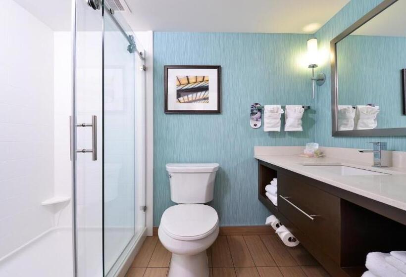 Номер Стандарт, Holiday Inn Hotel & Suites Edmonton Airport Conference Centre, An Ihg
