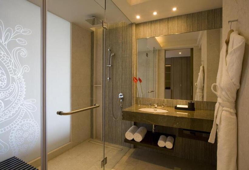 俱乐部房间, Hyatt Regency Ahmedabad