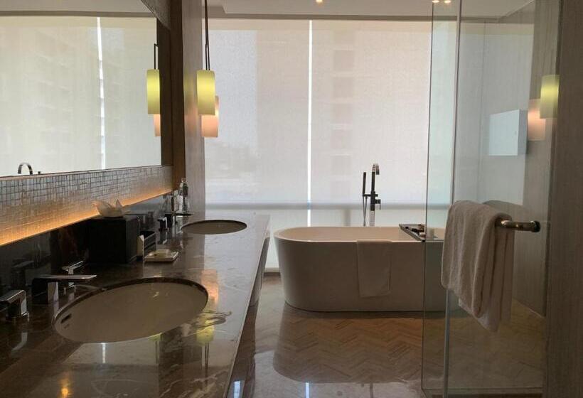 套房, Hyatt Regency Ahmedabad