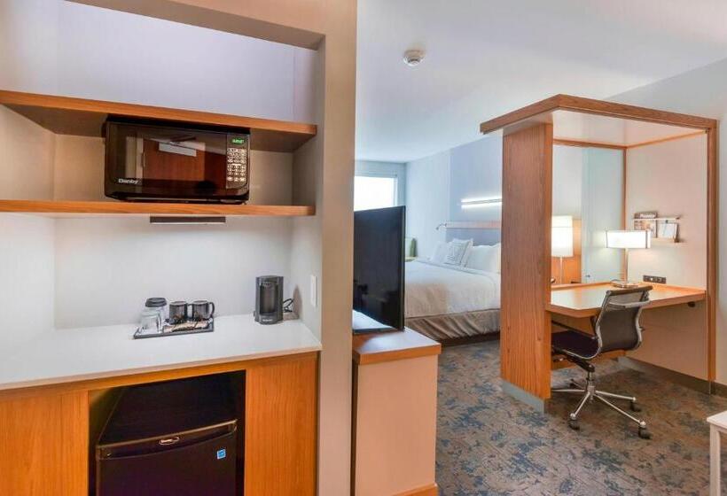 Люкс Кровать Кинг, Springhill Suites By Marriott Wilmington Wrightsville Beach