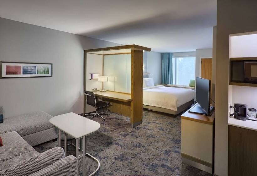 Люкс, Springhill Suites By Marriott Wilmington Wrightsville Beach