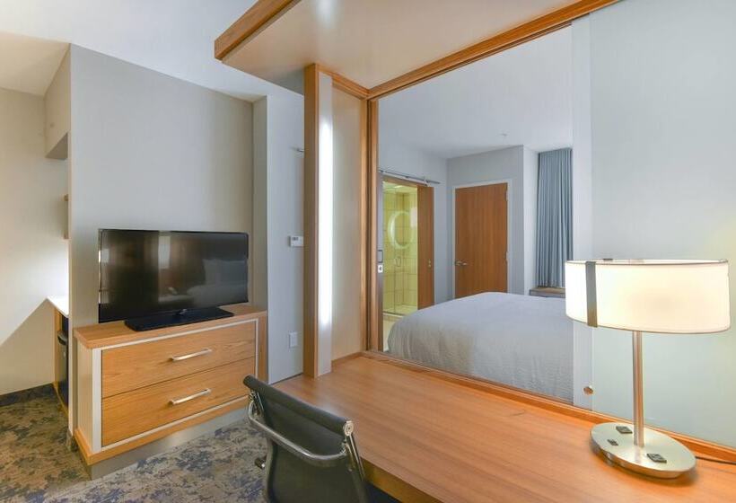 Люкс, Springhill Suites By Marriott Wilmington Wrightsville Beach