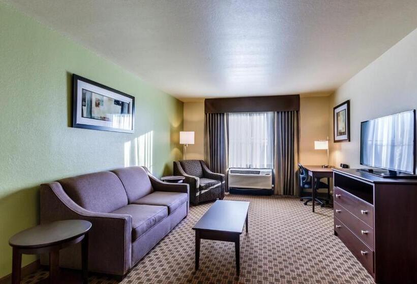 Люкс, Cobblestone Inn & Suites   Waverly