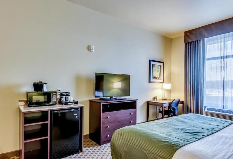 Номер Стандарт Кровать Кинг Адаптированный для Инвалидов, Cobblestone Inn & Suites   Waverly