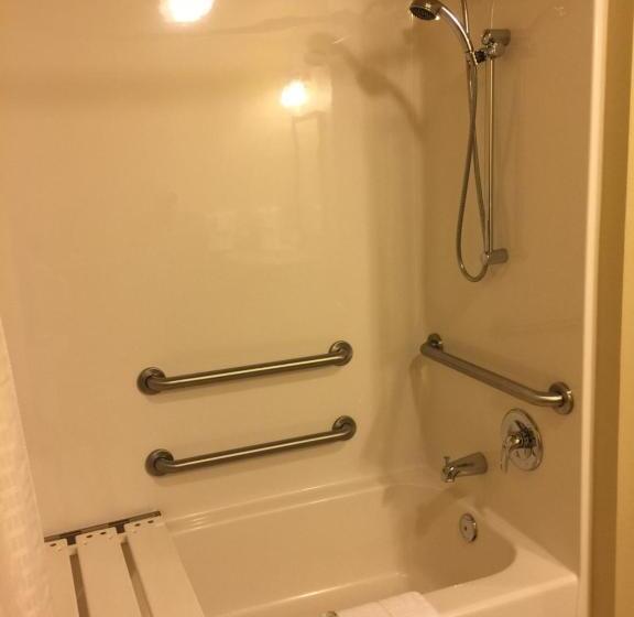 Студия Стандарт, Cobblestone Inn & Suites   Waverly