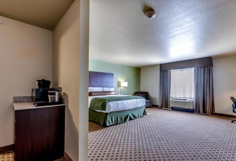 Студия Стандарт, Cobblestone Inn & Suites   Waverly