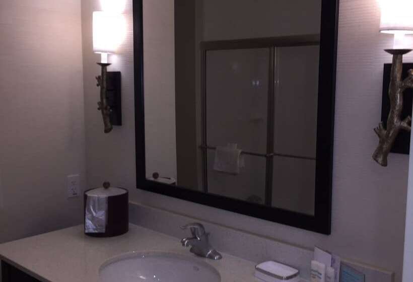 스탠다드 룸 킹사이즈 침대, Hampton Inn & Suites Stroudsburg Pocono Mountains