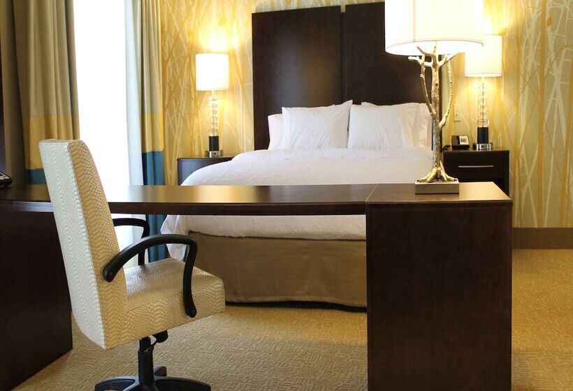 스탠다드 룸 킹사이즈 침대, Hampton Inn & Suites Stroudsburg Pocono Mountains