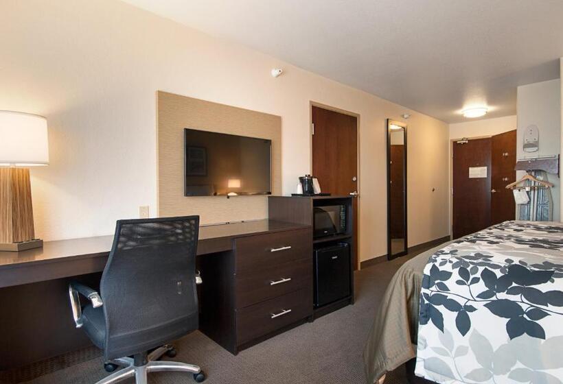 Стандартный Номер Кровать Кинг, Sleep Inn & Suites Carlsbad Caverns Area