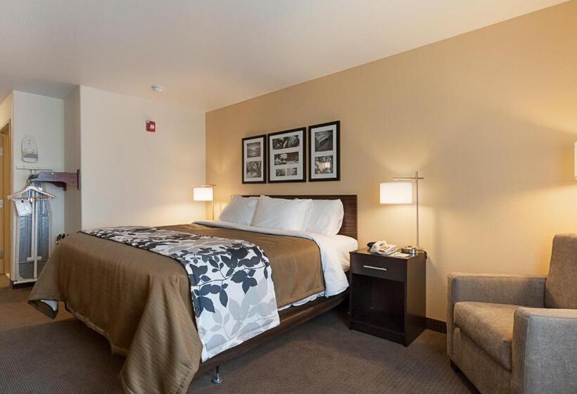 Стандартный Номер Кровать Кинг, Sleep Inn & Suites Carlsbad Caverns Area