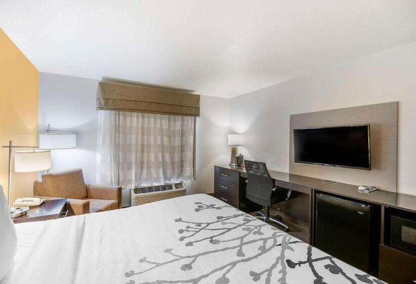 带大床的标准间, Sleep Inn & Suites Carlsbad Caverns Area