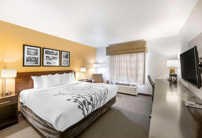 Стандартный Номер Кровать Кинг, Sleep Inn & Suites Carlsbad Caverns Area