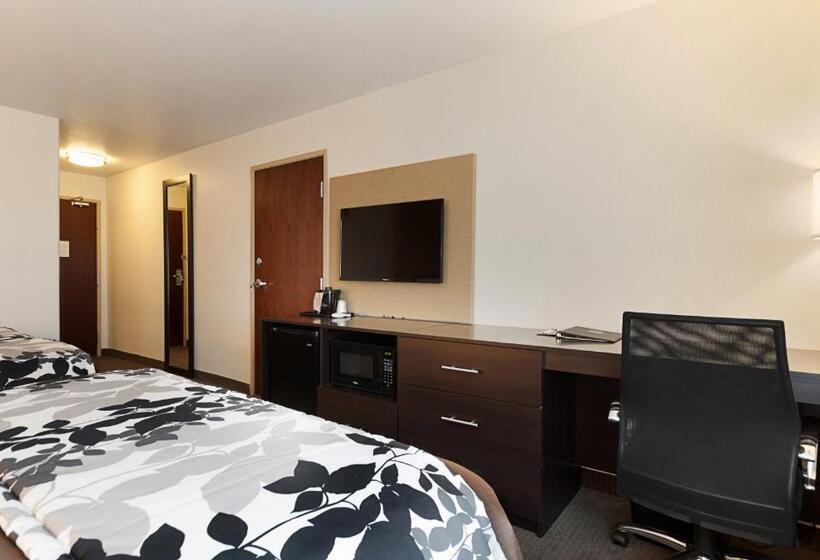 Номер Стандарт 2 Двуспальные Кровати, Sleep Inn & Suites Carlsbad Caverns Area