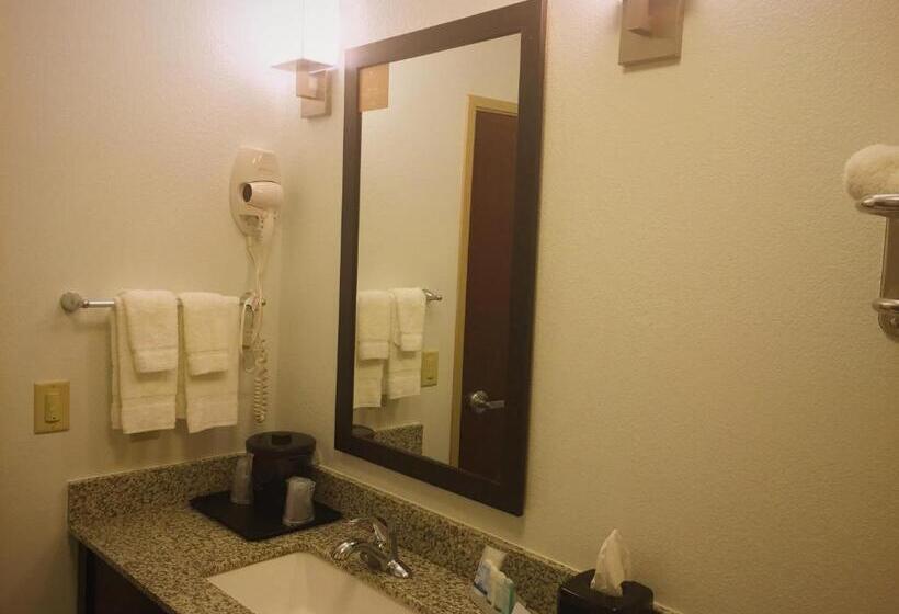 带2个双人床的标准工作室, Sleep Inn & Suites Carlsbad Caverns Area
