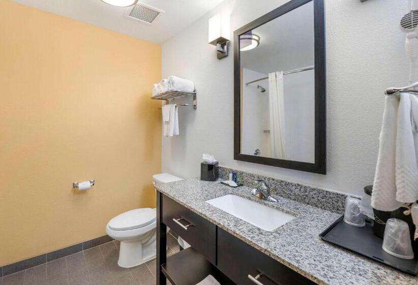 带2个双人床的标准工作室, Sleep Inn & Suites Carlsbad Caverns Area