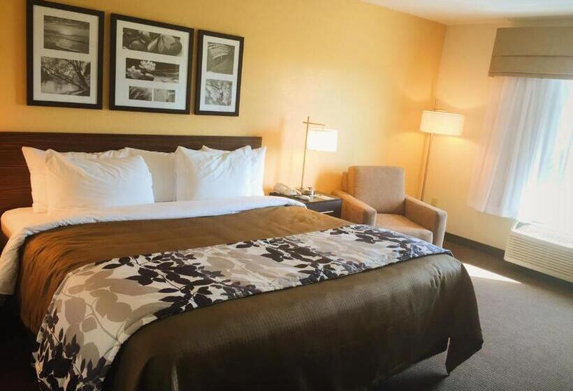 מיטת קינג בסוויטה, Sleep Inn & Suites Carlsbad Caverns Area