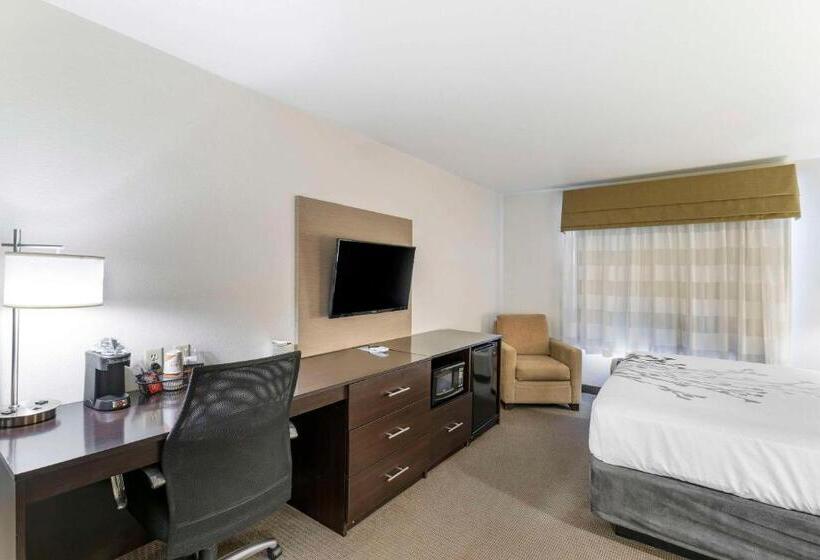 מיטת קינג בסוויטה, Sleep Inn & Suites Carlsbad Caverns Area