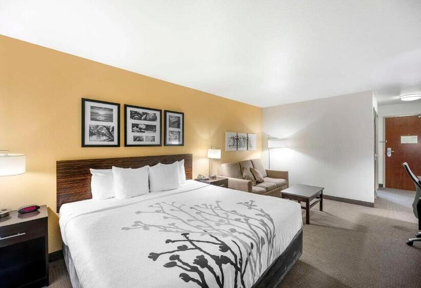 Люкс Кровать Кинг, Sleep Inn & Suites Carlsbad Caverns Area