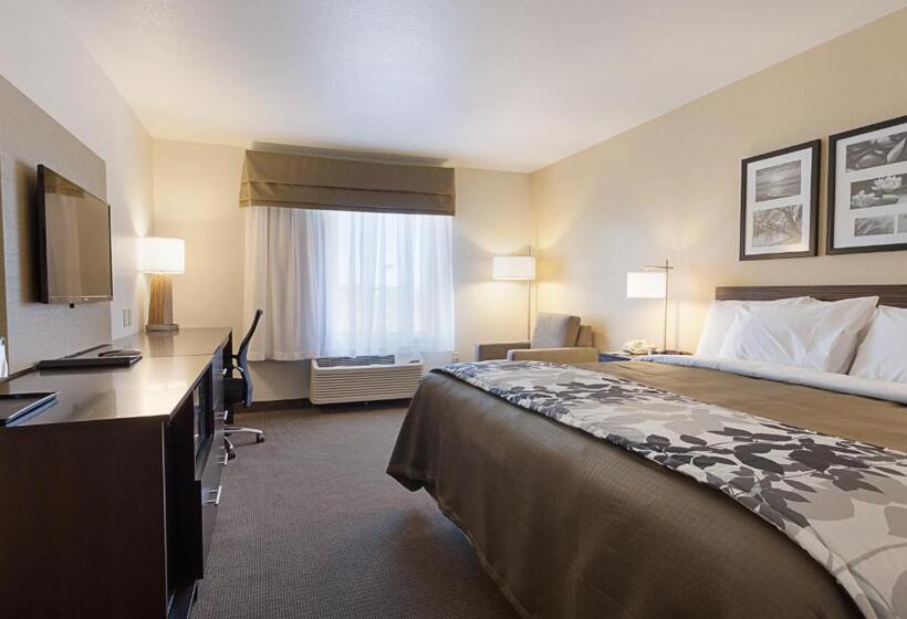 Номер Стандарт, Sleep Inn & Suites Carlsbad Caverns Area