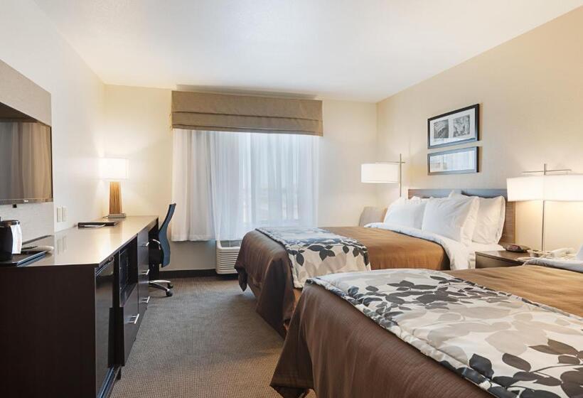标准间, Sleep Inn & Suites Carlsbad Caverns Area