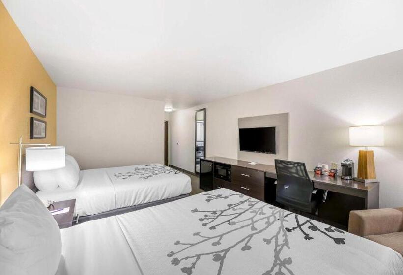 标准间, Sleep Inn & Suites Carlsbad Caverns Area