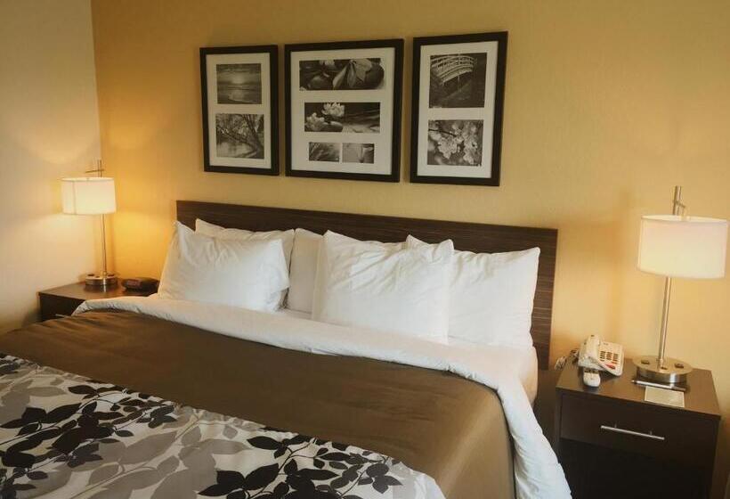 Люкс Адаптированный для Инвалидов, Sleep Inn & Suites Carlsbad Caverns Area