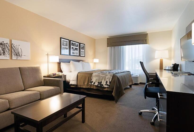 סוויטה מותאמת לאדם עם מוגבלויות, Sleep Inn & Suites Carlsbad Caverns Area