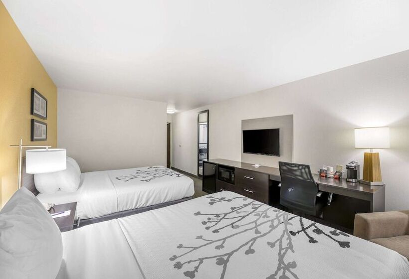 Номер Стандарт 2 Двуспальные Кровати, Sleep Inn & Suites Carlsbad Caverns Area